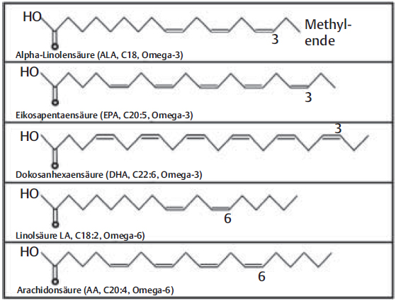 Omega-3-Fettsäuren