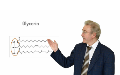 Was sind Omega-3-Fettsäuren?