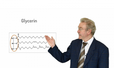 Was sind Omega-3-Fettsäuren?