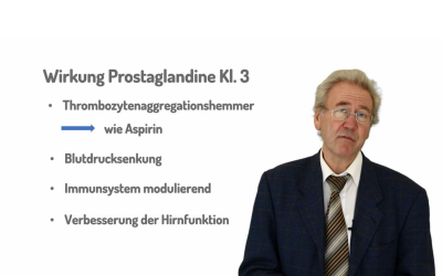 Warum sind Omega-3-Fettsäuren wichtig?