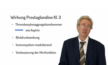 Warum sind Omega-3-Fettsäuren wichtig?