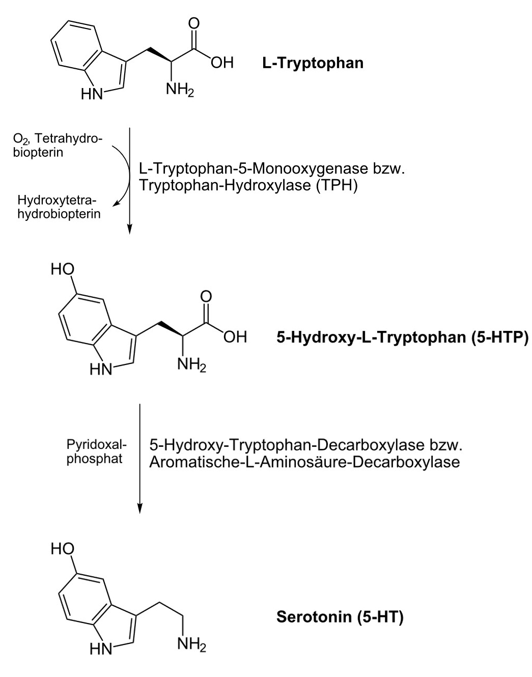 tryptophan