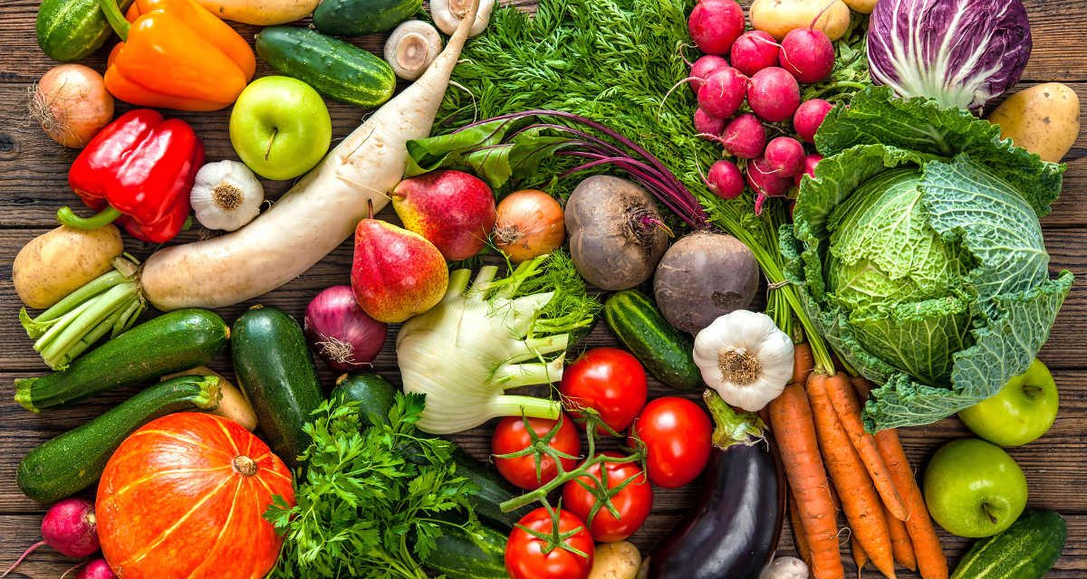 Der Veggie Day – sinnvolle Ernährungsempfehlung oder ökofaschistische Ernährungsdiktatur?