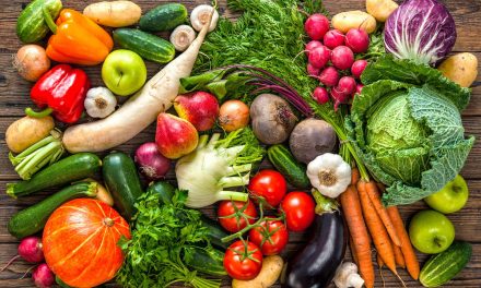 Der Veggie Day – sinnvolle Ernährungsempfehlung oder ökofaschistische Ernährungsdiktatur?