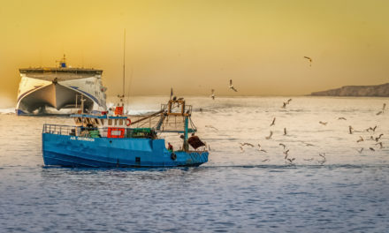 Wie viel Fisch ist eigentlich noch gesund?