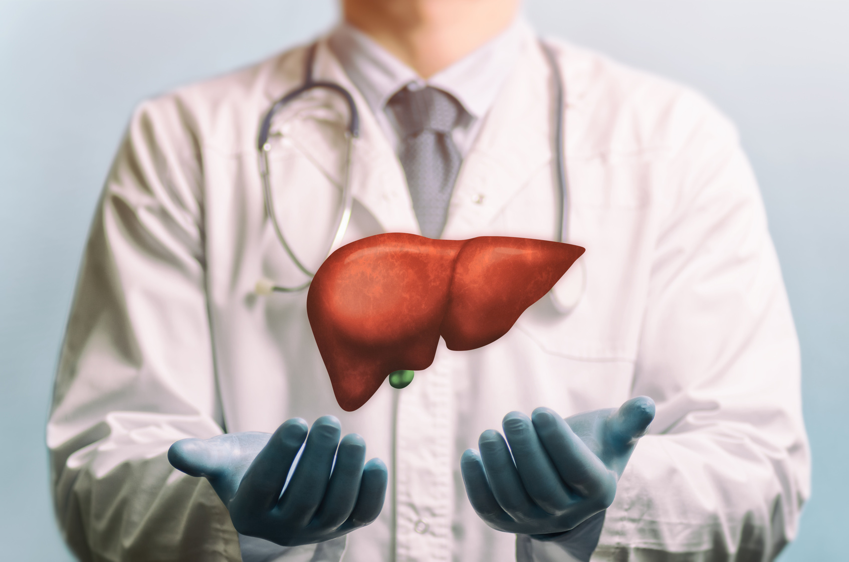 Fettleber- und Cholesterin-Diät