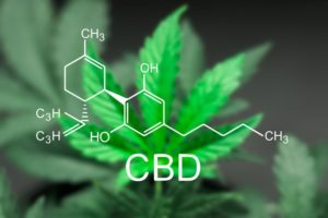 ms newsletter cbd