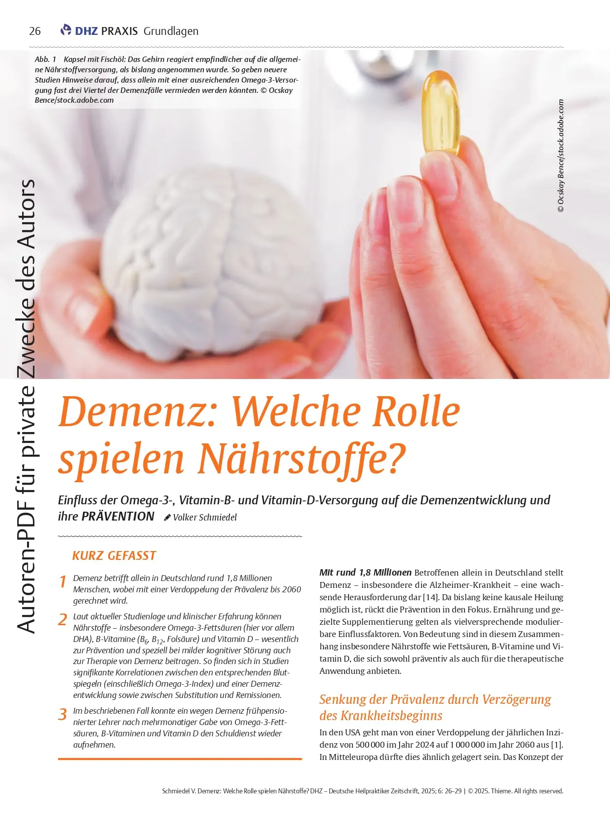 Praxis_Demenz_Schmiedel_Online-PDF_cover bild